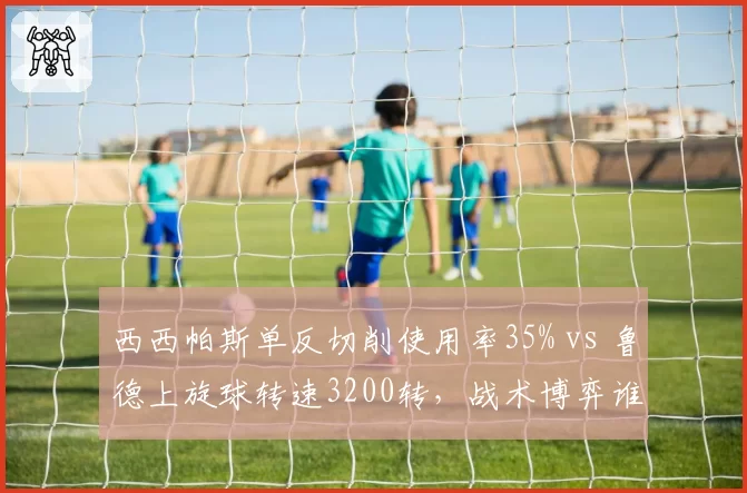 西西帕斯单反切削使用率35% vs 鲁德上旋球转速3200转，战术博弈谁占优