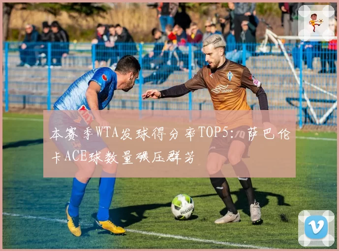 本赛季WTA发球得分率TOP5：萨巴伦卡ACE球数量碾压群芳