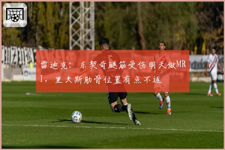 雷迪克:东契奇腿筋受伤明天做MRI,里夫斯肋骨位置有点不适