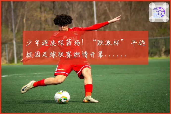 少年逐鹿绿茵场！“欧派杯” 平远校园足球联赛燃情开幕......
