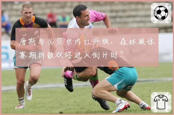 唐斯与戈贝尔内讧升级，森林狼休赛期拆散双塔进入倒计时？