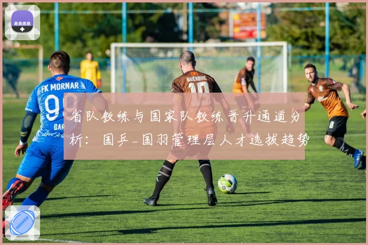 省队教练与国家队教练晋升通道分析:国乒_国羽管理层人才选拔趋势